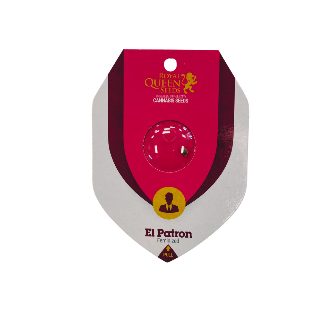 El Patron Feminized (Edited)