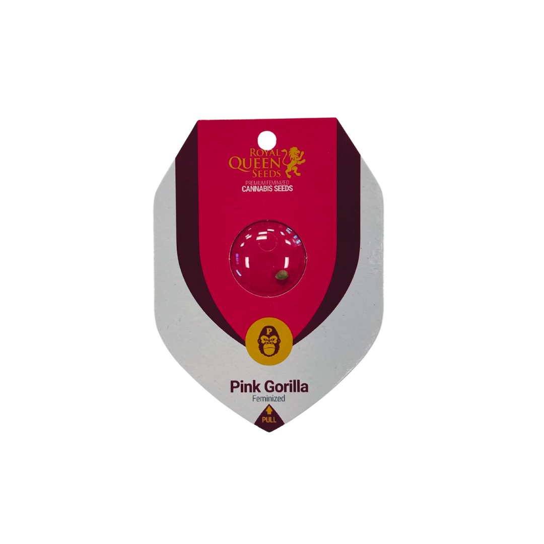 Pink Gorilla Feminized (Edited)