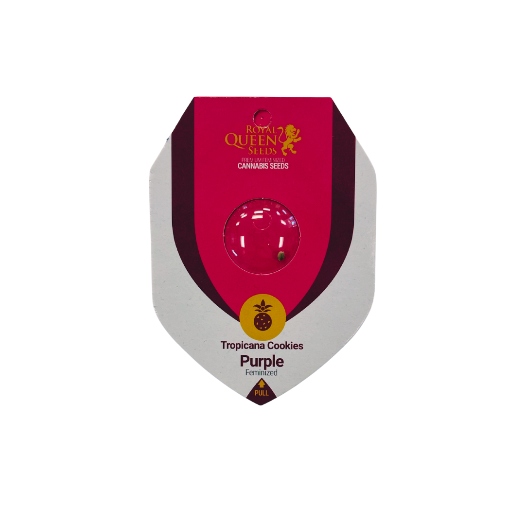 Tropicana Cookies Purple Feminized (Edited)